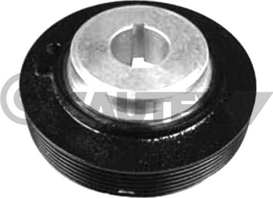 Cautex 030911 - Poulie, vilebrequin droxauto.com