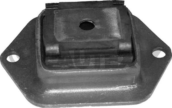 Cautex 030435 - Suspension, corps de l'essieu droxauto.com