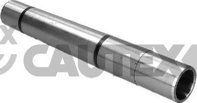 Cautex 031444 - Suspension, jambe d'essieu droxauto.com