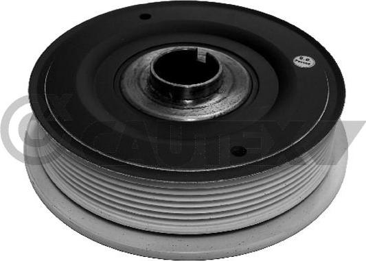 Cautex 020951 - Poulie, vilebrequin droxauto.com