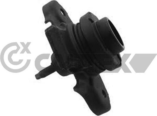 Cautex 756393 - Support moteur droxauto.com