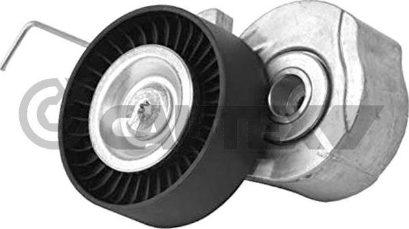 Cautex 751867 - Tendeur de courroie, courroie trapézoïdale à nervures droxauto.com