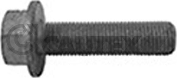 Cautex 757047 - Vis de poulie droxauto.com