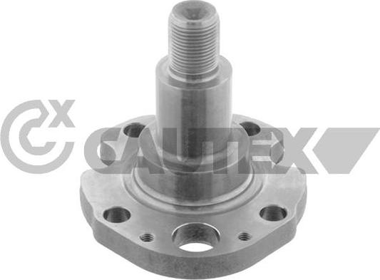 Cautex 769757 - Bout d'essieu, corps de l'essieu droxauto.com