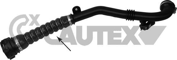 Cautex 765343 - Gaine de suralimentation droxauto.com