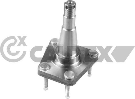 Cautex 760294 - Moyeu de roue droxauto.com