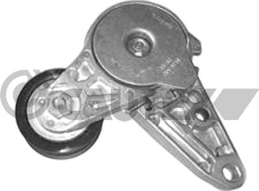 Cautex 761355 - Tendeur de courroie, courroie trapézoïdale à nervures droxauto.com