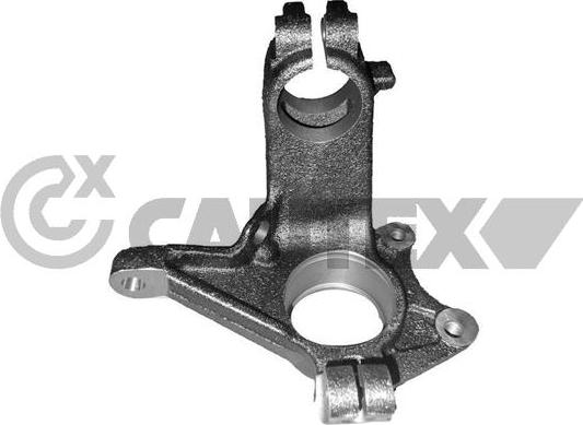 Cautex 770878 - Fusée d'essieu, suspension de roue droxauto.com