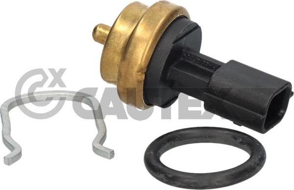 Cautex 770258 - Sonde de température, liquide de refroidissement droxauto.com