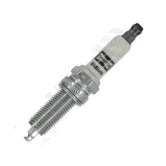 Champion CCH9409 - Bougie d'allumage droxauto.com