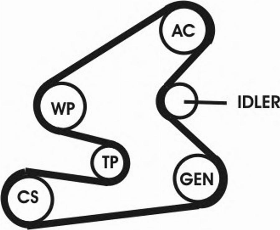 CONTINENTAL 6PK1275D1 - Courroie trapézoïdale à nervures droxauto.com