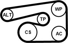 CONTINENTAL 5PK1546K1 - Jeu de courroies trapézoïdales à nervures droxauto.com