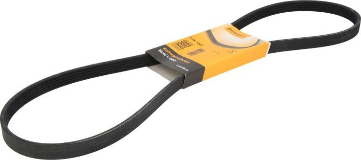 CONTINENTAL 5PK1207 - Courroie trapézoïdale à nervures droxauto.com