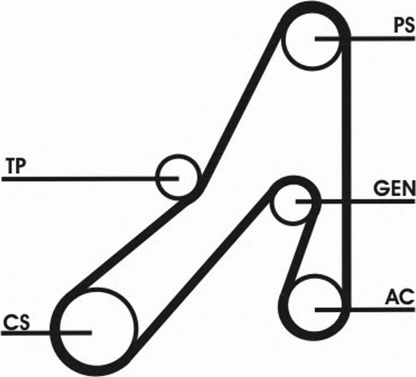 CONTINENTAL 6DPK1841D1 - Poulie, vilebrequin droxauto.com