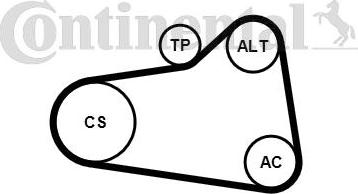 CONTINENTAL 6PK905 EXTRA WP1 - Pompe à eau+Jeu de courroie trapézoïdale à nervures droxauto.com