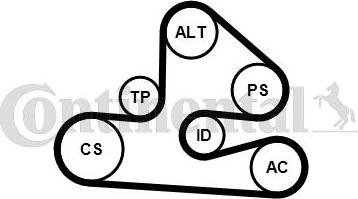 CONTINENTAL 6PK1570K1 - Jeu de courroies trapézoïdales à nervures droxauto.com