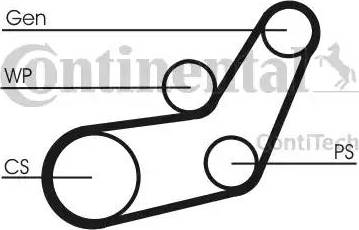 CONTINENTAL 6PK1059 ELAST T1 - Jeu de courroies trapézoïdales à nervures droxauto.com