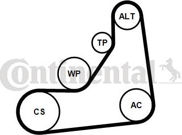 CONTINENTAL 6PK1153K5 - Jeu de courroies trapézoïdales à nervures droxauto.com