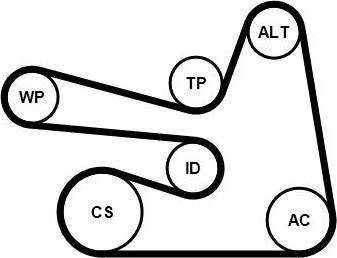 CONTINENTAL 6PK1705K3 - Jeu de courroies trapézoïdales à nervures droxauto.com