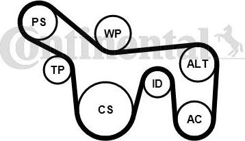 CONTINENTAL 6PK1715WP2 - Pompe à eau+Jeu de courroie trapézoïdale à nervures droxauto.com