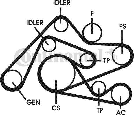 CONTINENTAL 6PK2404D2 - Jeu de courroies trapézoïdales à nervures droxauto.com