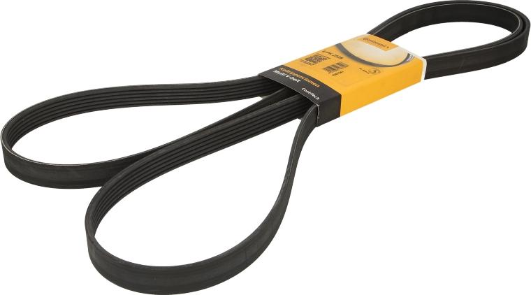 CONTINENTAL 6 PK 2528 - Courroie trapézoïdale à nervures droxauto.com
