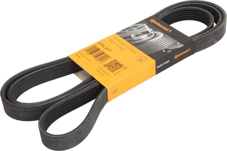 CONTINENTAL 6PK2077 - Courroie trapézoïdale à nervures droxauto.com