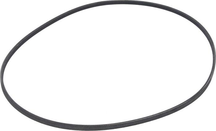 CONTINENTAL 3 PJ 891 - Courroie trapézoïdale à nervures droxauto.com