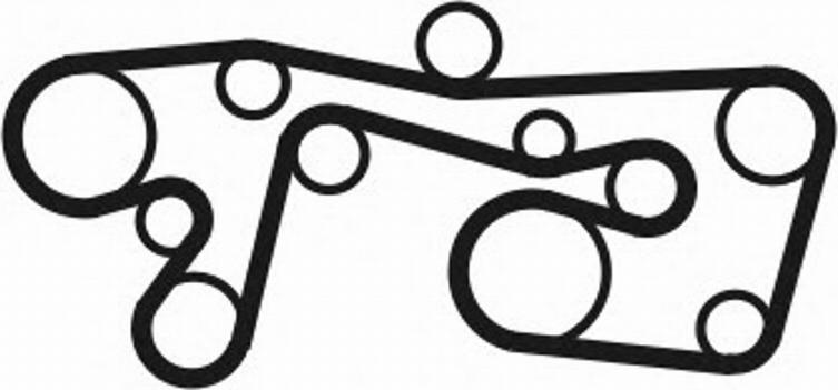 CONTINENTAL 7PK2035D1 - Courroie trapézoïdale à nervures droxauto.com