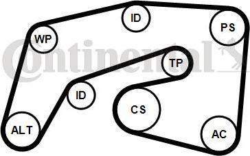 CONTINENTAL 7PK2035K1 - Jeu de courroies trapézoïdales à nervures droxauto.com
