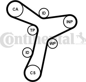CONTINENTAL CT1229 - Courroie de distribution droxauto.com