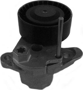 CORAM CT1051 - Tendeur de courroie, courroie trapézoïdale à nervures droxauto.com