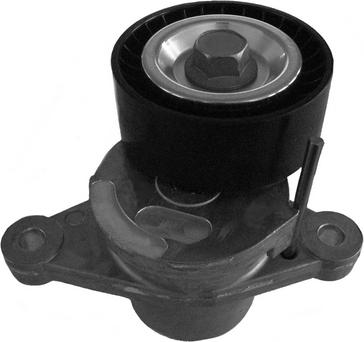 CORAM CT1061 - Tendeur de courroie, courroie trapézoïdale à nervures droxauto.com