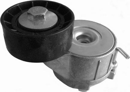 CORAM CT1009 - Tendeur de courroie, courroie trapézoïdale à nervures droxauto.com