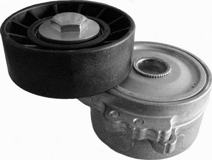 CORAM CT1008 - Tendeur de courroie, courroie trapézoïdale à nervures droxauto.com