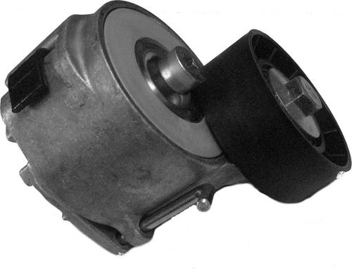 CORAM CT1002 - Tendeur de courroie, courroie trapézoïdale à nervures droxauto.com