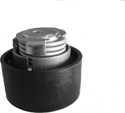 CORAM CT1019 - Poulie-tendeur, courroie de distribution droxauto.com