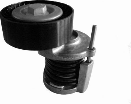 CORAM CT1012 - Tendeur de courroie, courroie trapézoïdale à nervures droxauto.com