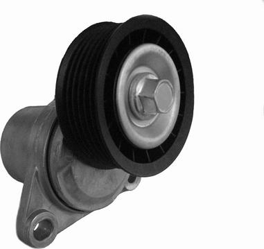 CORAM CT1035 - Tendeur de courroie, courroie trapézoïdale à nervures droxauto.com