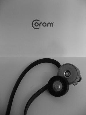 CORAM KTC987.80 - Jeu de courroies trapézoïdales à nervures droxauto.com