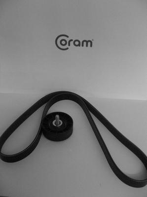 CORAM KTC1017.46 - Jeu de courroies trapézoïdales à nervures droxauto.com