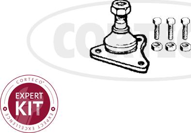 Corteco 49400750 - Rotule de suspension droxauto.com