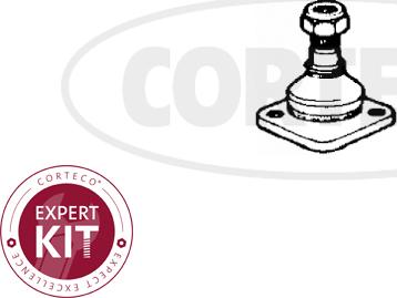 Corteco 49395658 - Rotule de suspension droxauto.com