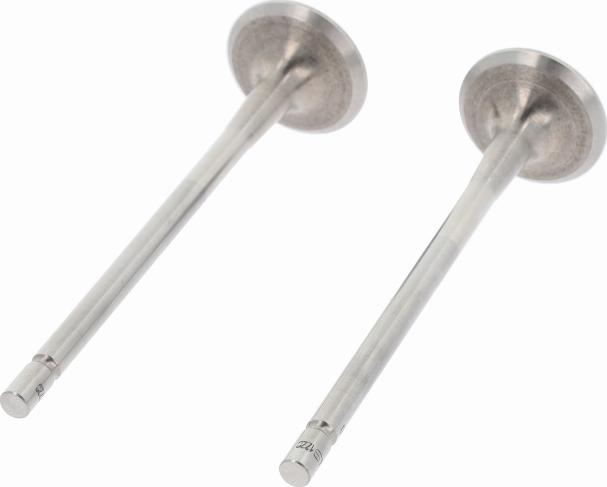 Corteco 551724B - Soupape d'émission droxauto.com