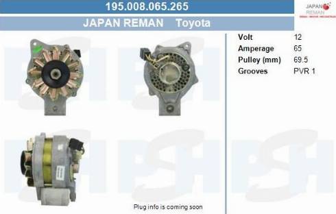 PSH 195.008.065.265 - Alternateur droxauto.com