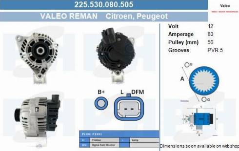 PSH 225.530.080.505 - Alternateur droxauto.com