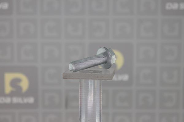 DA SILVA PLK034 - Kit de vis, poulie-vilebrequin droxauto.com