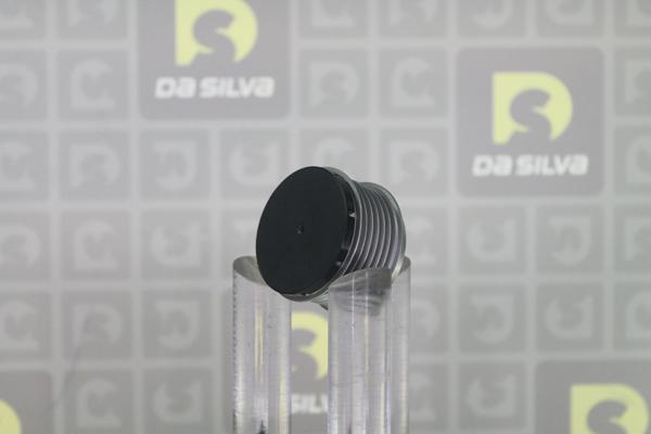 DA SILVA PRL171 - Poulie, alternateur droxauto.com