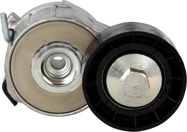 Dayco APV2463 - Tendeur de courroie, courroie trapézoïdale à nervures droxauto.com