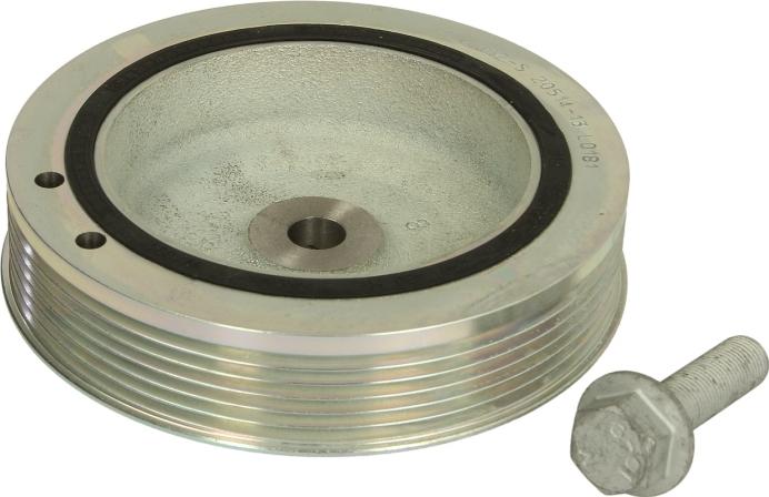 Dayco DPV1032 - Poulie, vilebrequin droxauto.com